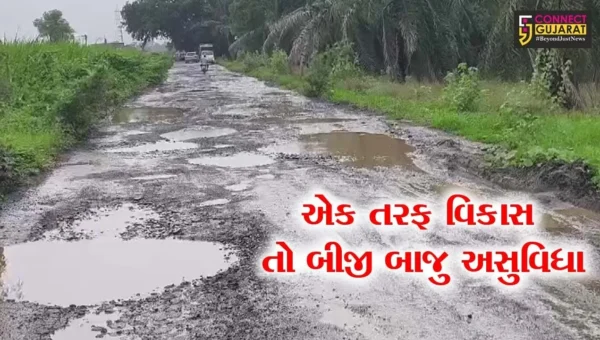ઝઘડિયા : કરોડો રૂપિયાના ખર્ચે નર્મદા નદી પર અશા – માલસર બ્રિજ તો બન્યો પણ તેને જોડતો રસ્તો અત્યંત બિસ્માર