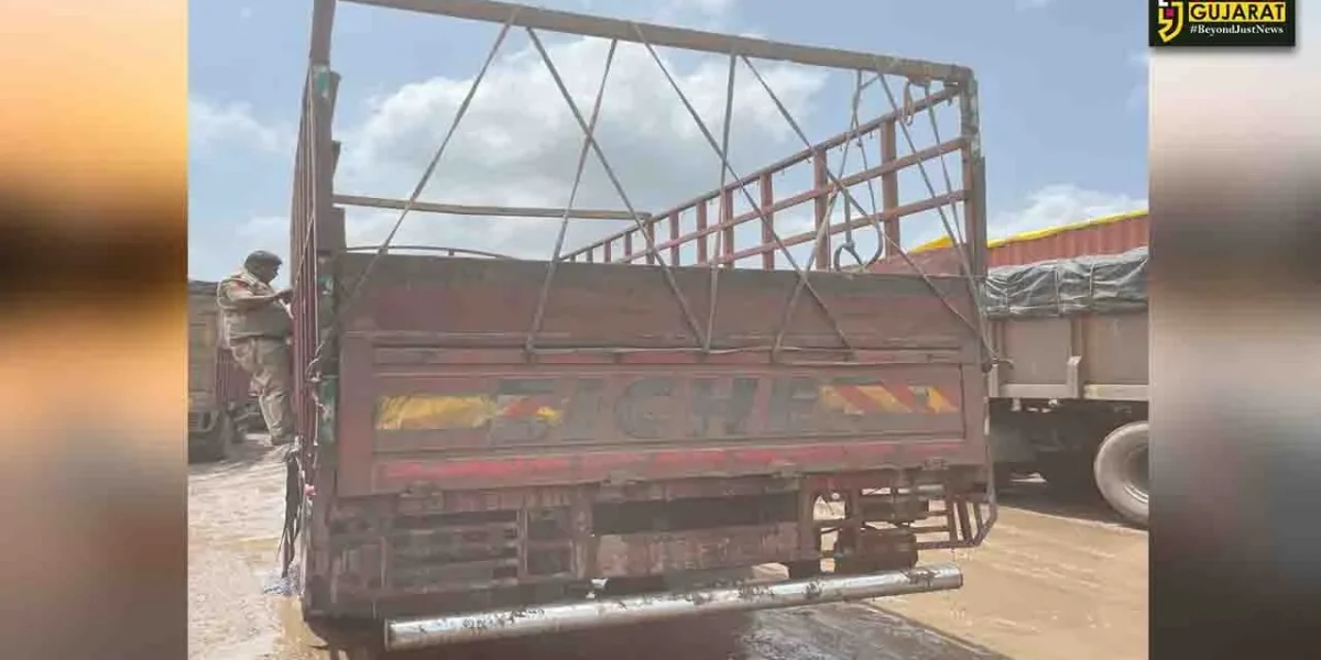 ભરૂચ: NH 48 પર મુલદ નજીક ટેમ્પામાં ગેરકાયદેસર રીતે લઈ જવાતા 29 પાડાને પોલીસે મુક્ત કરાવ્યા, રૂ.12.90 લાખનો મુદ્દામાલ જપ્ત