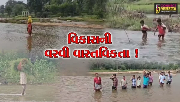 છોટાઉદેપુર: આઝાદીના આટલા વર્ષો બાદ પણ આ ગામમાં પુલ ન બન્યો, ગ્રામજનો ધસમસતા પાણી વચ્ચેથી જીવના જોખમે થાય છે પસાર