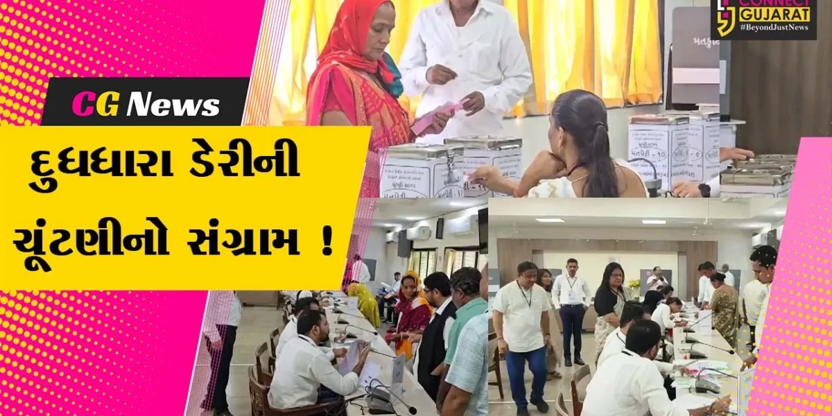 ભરૂચ: રાજકીય ગરમાવા વચ્ચે દૂધધારા ડેરીની ચૂંટણીમાં મતદાન પ્રક્રિયા, દિગ્ગજોએ કર્યા જીતના દાવા
