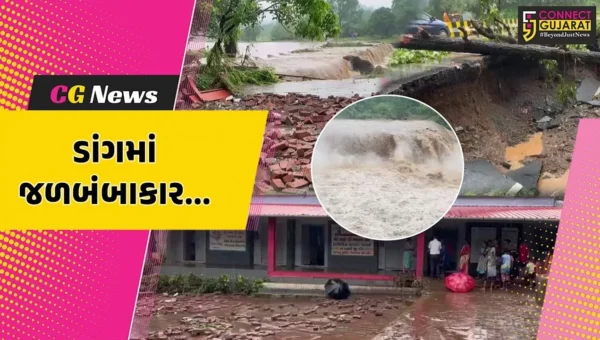 ડાંગ : ભારે વરસાદ વચ્ચે પાણી ભરાવા સહિત વૃક્ષો ધરાશાયી થતાં કેટલાક માર્ગ પ્રભાવિત થયા, શાળાઓમાં પણ રજા જાહેર કરાય