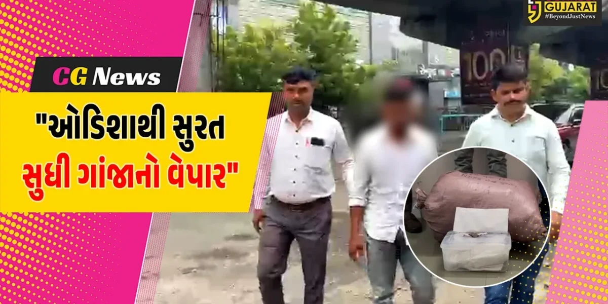 સુરત : ઓડિશાથી ગાંજો લાવીને સપ્લાય કરવાના કાવતરાનો પર્દાફાશ કરતી પોલીસ,એક શખ્સની ધરપકડ સાથે રૂ.1.70 લાખનો મુદ્દામાલ જપ્ત