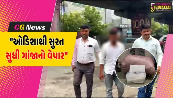 સુરત : ઓડિશાથી ગાંજો લાવીને સપ્લાય કરવાના કાવતરાનો પર્દાફાશ કરતી પોલીસ,એક શખ્સની ધરપકડ સાથે રૂ.1.70 લાખનો મુદ્દામાલ જપ્ત