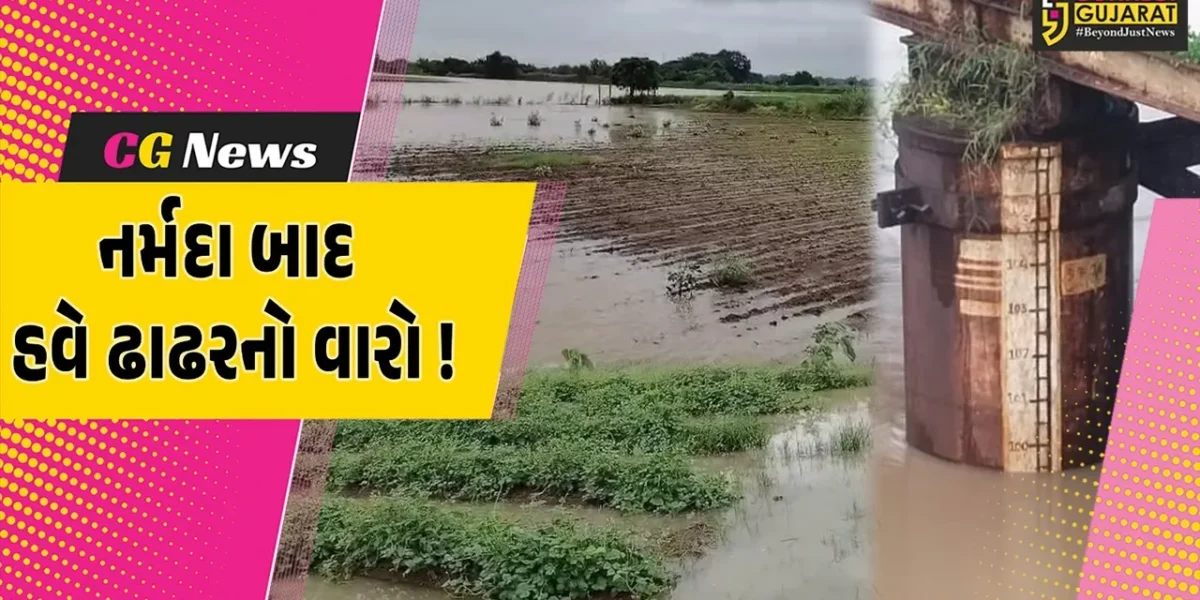 ભરૂચ: આમોદ નજીકથી પસાર થતી ઢાઢર નદી ભયજનક સપાટી નજીક, નદી કાંઠાના ગ્રામજનોને એલર્ટ રહેવા સૂચના