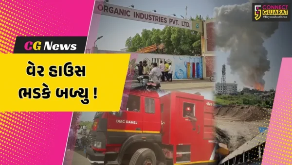 ભરૂચ: દહેજની ઓર્ગેનિક ઇન્ડસ્ટ્રીઝમાં ભીષણ આગ ફાટી નિકળતા દોડધામ, વેરહાઉસ ભડકે બળ્યુ