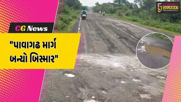 હાલોલ : પાવાગઢ માર્ગ બિસ્માર બનતા યાત્રાળુઓને ભારે હાલાકી,ખખડધજ રસ્તાઓ અંગે માર્ગ અને મકાન વિભાગનું બેદરકારી ભર્યું વલણ