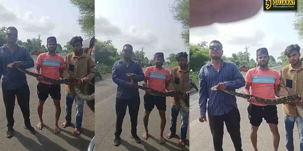 ભરૂચ: પરીએજ ગામ નજીક ભૂખી ખાડીમાંથી અજગરનું કરાયુ રેસ્ક્યુ, ગ્રામજનોએ લીધો હાશકારો