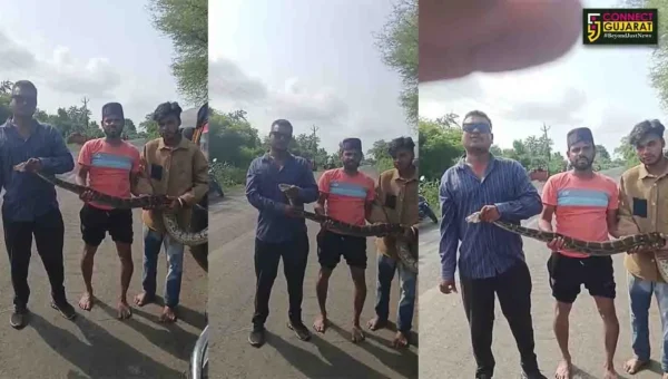 ભરૂચ: પરીએજ ગામ નજીક ભૂખી ખાડીમાંથી અજગરનું કરાયુ રેસ્ક્યુ, ગ્રામજનોએ લીધો હાશકારો