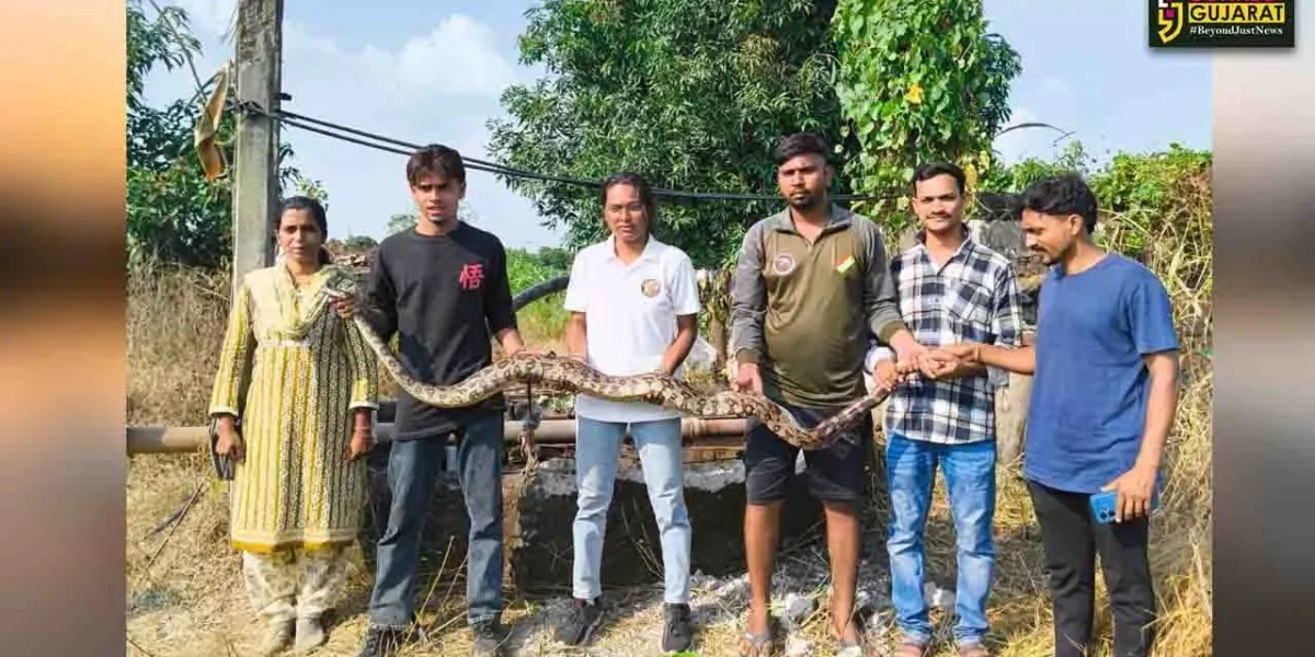 ભરૂચ: ઝઘડિયાના ઉમધરા ગામે કૂવામાંથી મહાકાય અજગરને રેસક્યુ કરાયો