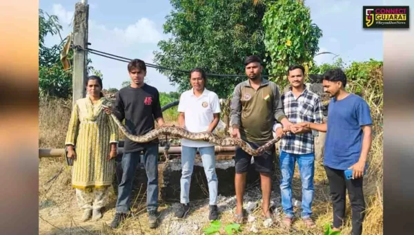 ભરૂચ: ઝઘડિયાના ઉમધરા ગામે કૂવામાંથી મહાકાય અજગરને રેસક્યુ કરાયો