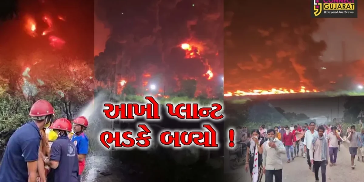 અંકલેશ્વર: પાનોલીની સંઘવી ઓર્ગેનિક કંપનીમાં આગનું તાંડવ, સાડા ત્રણ કલાકે 10 ફાયર ફાયટરોએ આગ કાબુમાં લીધી