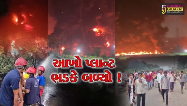 અંકલેશ્વર: પાનોલીની સંઘવી ઓર્ગેનિક કંપનીમાં આગનું તાંડવ, સાડા ત્રણ કલાકે 10 ફાયર ફાયટરોએ આગ કાબુમાં લીધી