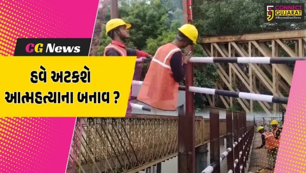 ભરૂચ: નર્મદા મૈયા બ્રિજની બન્ને તરફ રૂ.1.84 કરોડના ખર્ચે સેફટી નેટ લગાવની કામગીરીનો પ્રારંભ, આત્મહત્યાના બનાવો રોકવા પ્રયાસ
