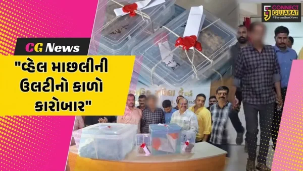 સુરત : SOGની ટીમે વ્હેલ માછલીની ઉલટી સાથે એક ઈસમની કરી ધરપકડ,પોલીસે 5.72 કરોડનો મુદ્દામાલ કર્યો જપ્ત
