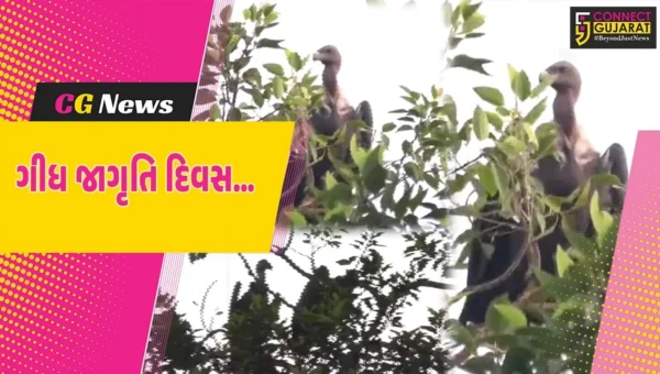 “ગીધ જાગૃતિ દિવસ” : સુરેન્દ્રનગરના ગ્રામ્ય વિસ્તારોમાં સફાઈ કામદાર તરીકે કામ કરતાં ગીધ પક્ષીની સંખ્યામાં ઘટાડો..!