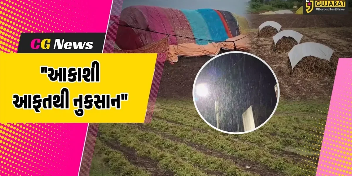 જૂનાગઢ : ખેડૂતો માટે આકાશી આફત બની સમસ્યારૂપ,કમોસમી વરસાદને પગલે મગફળીના પાકને વ્યાપક નુકસાન