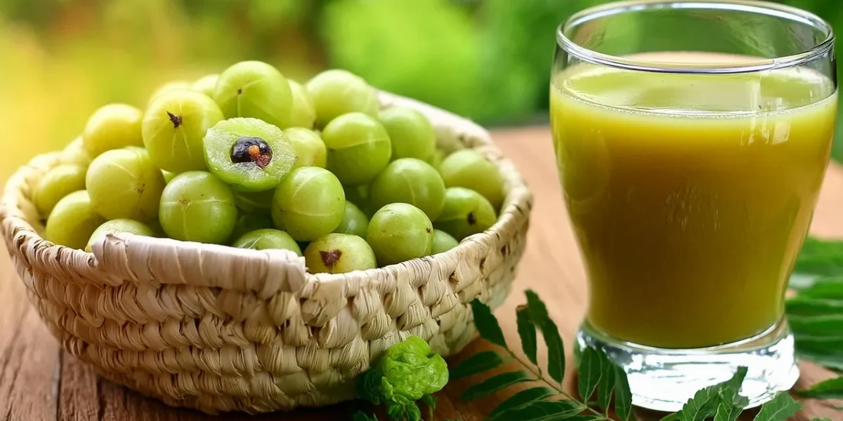 શિયાળામાં આમળાનું પીણું: તાજગી, સ્વાસ્થ્ય અને ચમકતી ત્વચા માટે શ્રેષ્ઠ આર્યુવેદિક ઉપાય