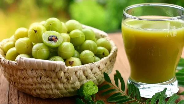 શિયાળામાં આમળાનો રસ: રોગપ્રતિકારક શક્તિ વધારતું સૌથી અસરકારક પીણું