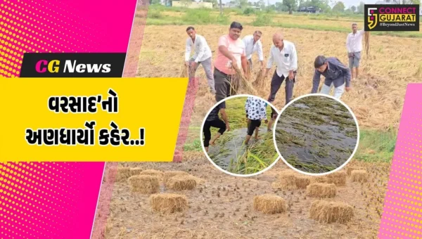પંચમહાલ : ભારે વરસાદના કારણે ખેતી-પાકને નુકસાન થવાની ભીતિ સાથે ખેડૂતો માથે આભ તૂટી પડ્યા જેવી સ્થિતિ…