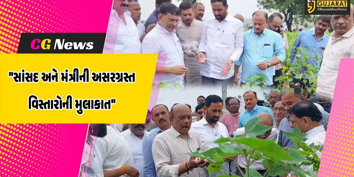 અમરેલી : કમોસમી વરસાદ બાદ સાંસદ અને રાજ્યકક્ષાના મંત્રીએ અસરગ્રસ્ત વિસ્તારોની લીધી મુલાકાત