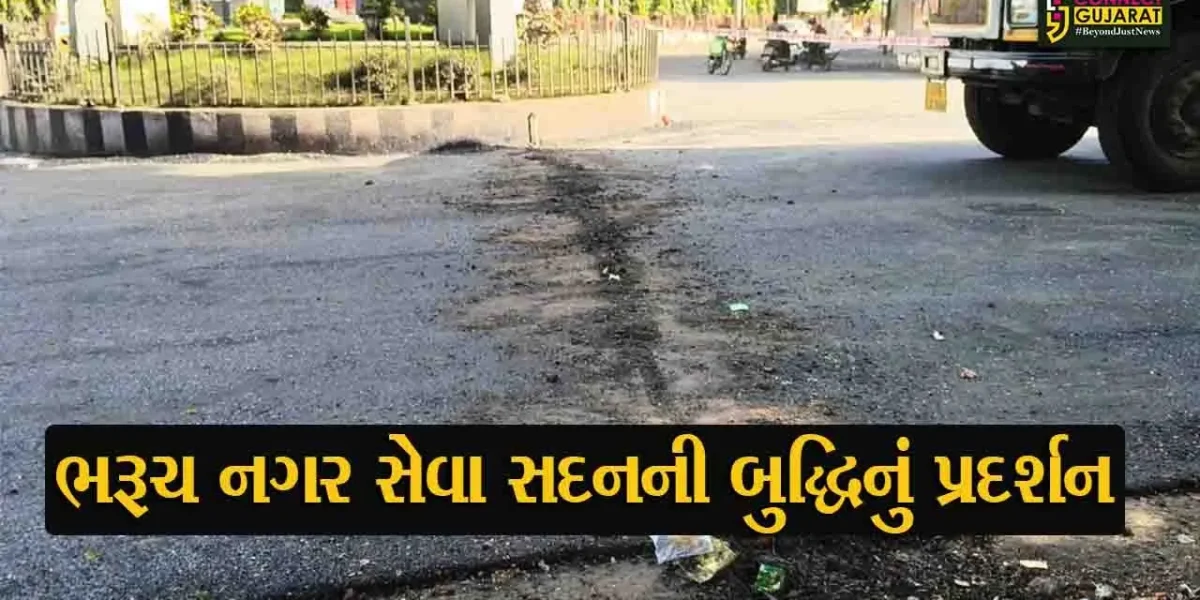 ભરૂચ: નગર સેવા સદનની બુદ્ધિનું પ્રદર્શન, રોડ બનાવ્યાના થોડા જ કલાકોમાં પાણીની લાઇન માટે કર્યું ખોદકામ !