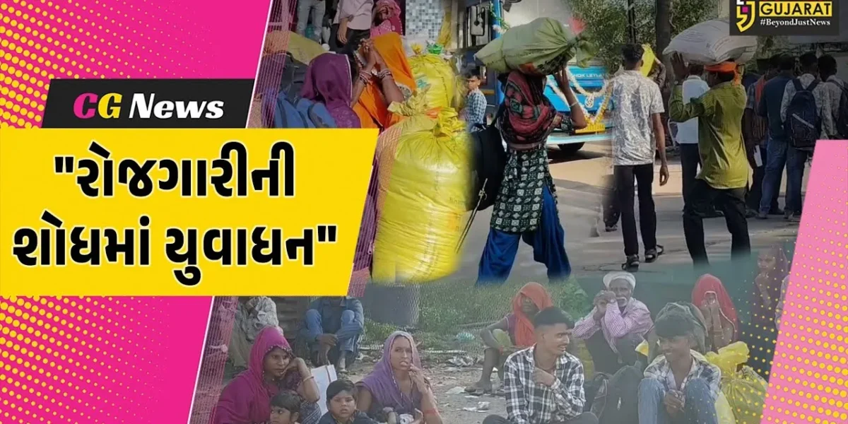 છોટાઉદેપુર : સ્થાનિક કક્ષાએ દિવાળીના સમયે પણ રોજગારીનો સ્ત્રોત ન મળતા લોકો પરેશાન,સૌરાષ્ટ્ર-કચ્છ તરફ પ્રયાણ