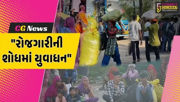 છોટાઉદેપુર : સ્થાનિક કક્ષાએ દિવાળીના સમયે પણ રોજગારીનો સ્ત્રોત ન મળતા લોકો પરેશાન,સૌરાષ્ટ્ર-કચ્છ તરફ પ્રયાણ