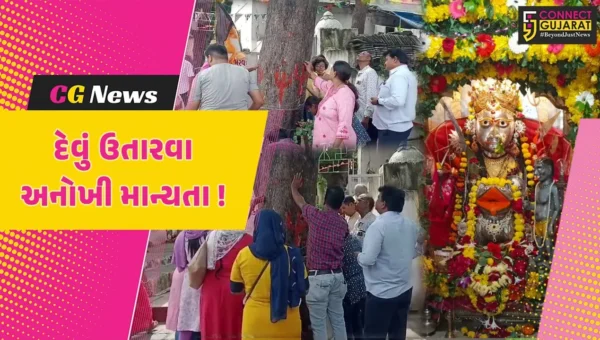 ભરૂચ: દશેરાના પર્વ પર સિંધવાઈ માતાના મંદિરે વૃક્ષની છાલ માતાજીને અર્પણ કરાય, ધનવૃદ્ધિ થતી હોવાની માન્યતા