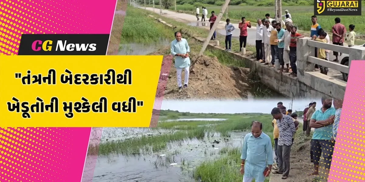 ગીર સોમનાથ : દાંડીના સ્ટેટ હાઇવે પર નાળા મુકાતા ખેડૂતોને મુશ્કેલી,ખેત ઉત્પાદન માટે પાણીની સમસ્યા સર્જાય