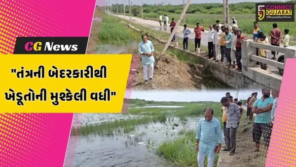ગીર સોમનાથ : દાંડીના સ્ટેટ હાઇવે પર નાળા મુકાતા ખેડૂતોને મુશ્કેલી,ખેત ઉત્પાદન માટે પાણીની સમસ્યા સર્જાય