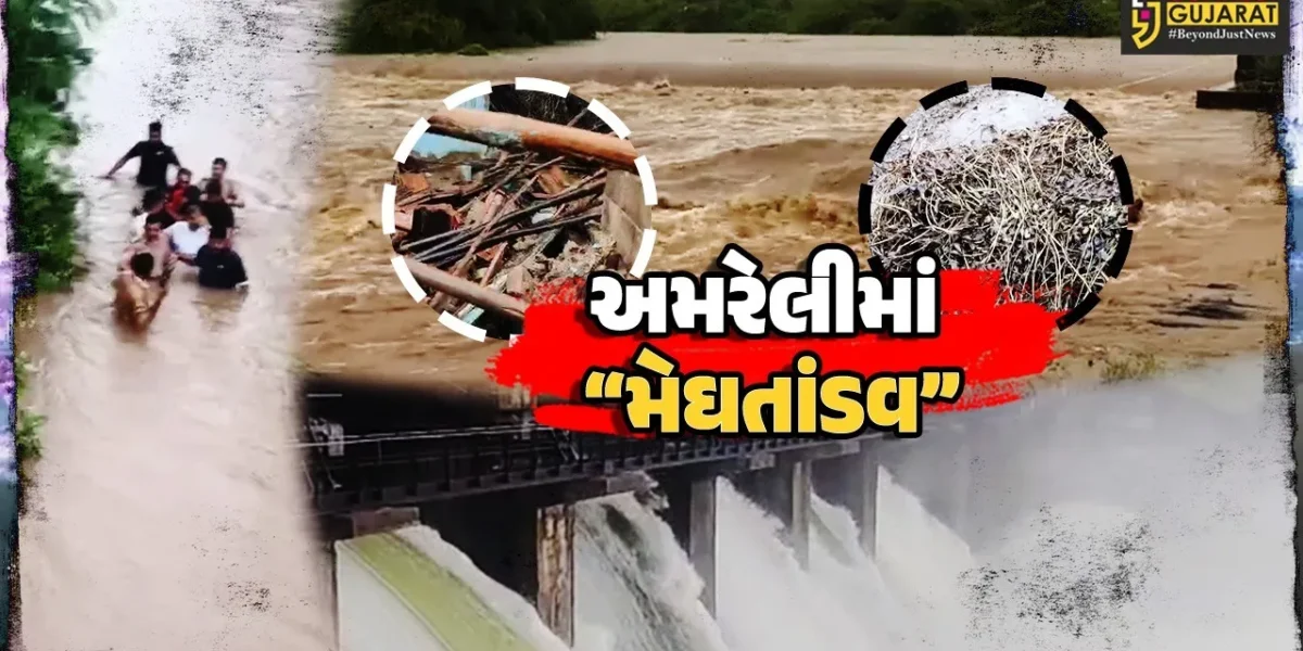 અમરેલી : કમોસમી વરસાદના પગલે ઠેર ઠેર તારાજી, પાણીના પ્રવાહમાં ફસાયેલા 100 લોકોનું રેસ્ક્યૂ, ખેતી નુકશાન સામે વળતરની માંગ