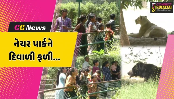 સુરત : દિવાળી વેકેશન દરમ્યાન સરથાણા પ્રાણી સંગ્રહાલયમાં મુલાકાતીઓનો ધસારો, 7 દિવસમાં રૂ. 22.95 લાખની આવક થઈ…