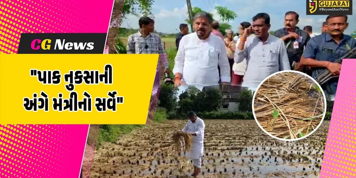 નવસારી : ખેતીમાં નુકસાની અંગેનો ચિત્તાર મેળવતા કેબિનેટ મંત્રી નરેશ પટેલ,ખેડૂતોને યોગ્ય વળતર માટે કરશે રજૂઆત