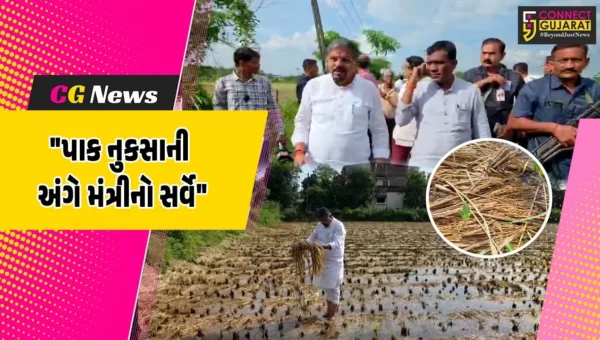 નવસારી : ખેતીમાં નુકસાની અંગેનો ચિત્તાર મેળવતા કેબિનેટ મંત્રી નરેશ પટેલ,ખેડૂતોને યોગ્ય વળતર માટે કરશે રજૂઆત