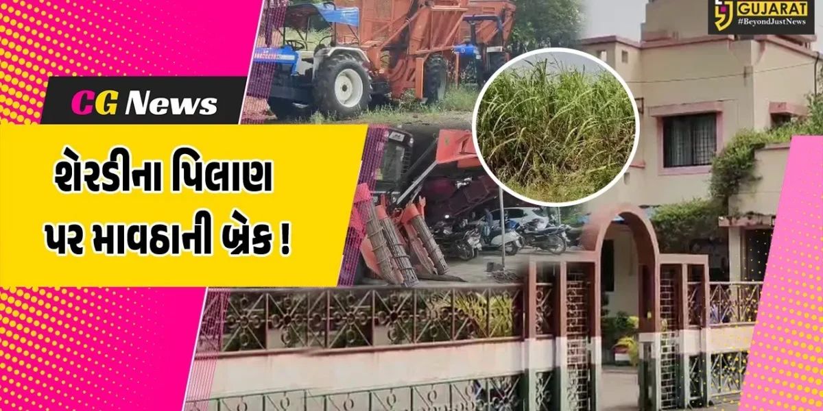 અંકલેશ્વર: કમોસમી વરસાદના કારણે પંડવાઈ સુગર ફેકટરીના 5.50 લાખ ટન શેરડીનું પીલાણ કાર્ય અટવાયું, 10 દિવસ બાદ શરૂ થવાની શકયતા