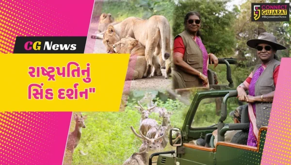 જુનાગઢ : રાષ્ટ્રપતિએ સાસણની મુલાકાત દરમિયાન કર્યા સિંહ દર્શન,આદિવાસી મહિલાઓની સાથે કર્યો વાર્તાલાપ
