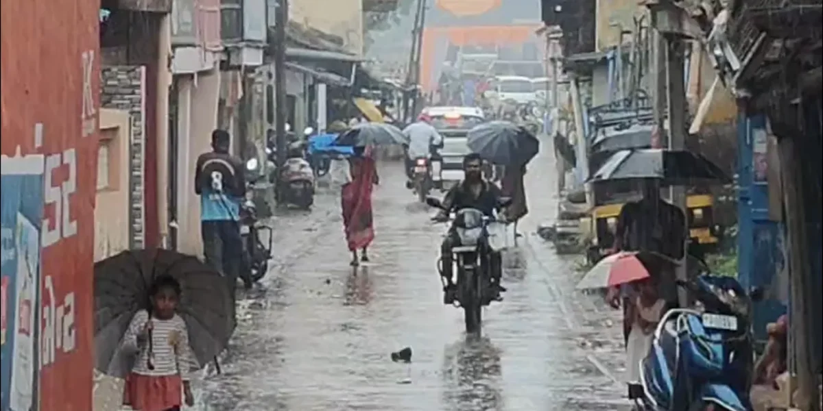 અંકલેશ્વર- હાંસોટ પંથકમાં એક દિવસના વિરામ બાદ પુન: વરસાદ, ખેતીના પાકને વ્યાપક નુકશાન