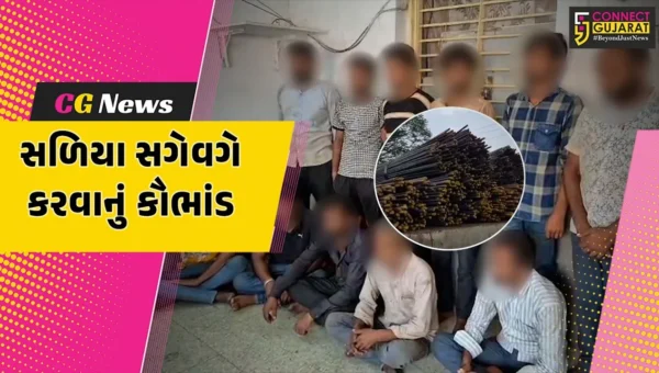 અંકલેશ્વર: સ્ટેટ મોનીટરીંગ સેલે લોખંડના સળિયા સગેવગે કરવાનું મોટું કૌભાંડ ઝડપી પાડ્યું, રૂ.1 કરોડના મુદ્દામાલ સાથે 11 આરોપીની ધરપકડ