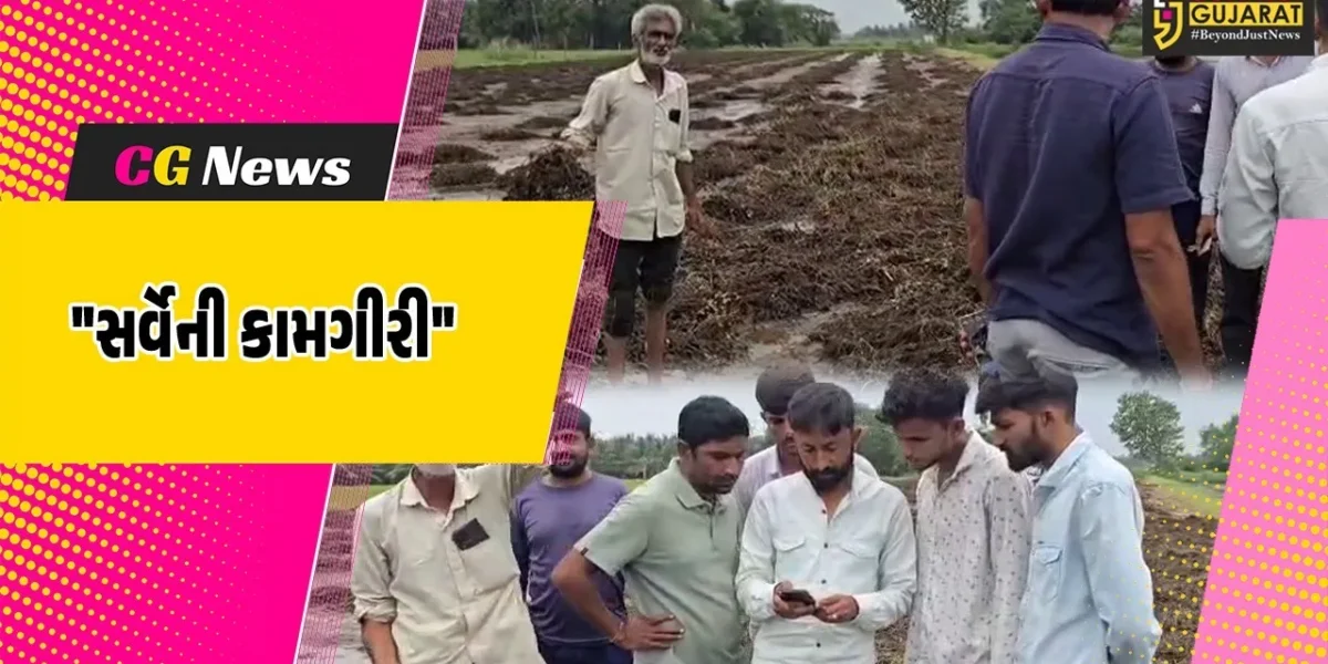 ગીર સોમનાથ : કમોસમી વરસાદથી ખેતીના પાકમાં થયેલા નુકસાનનો તાગ મેળવવા માટે તંત્ર દ્વારા સર્વેની કામગીરીનો પ્રારંભ