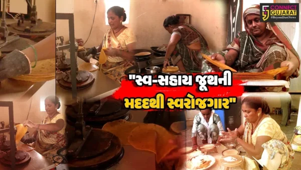 સુરેન્દ્રનગર :  મિશન મંગલમ થકી મહિલાઓએ સ્વ-સહાય જૂથની મદદથી સ્વરોજગાર કર્યો પ્રાપ્ત, ગ્રામીણ જીવનમાં આવ્યું નવું પરિવર્તન