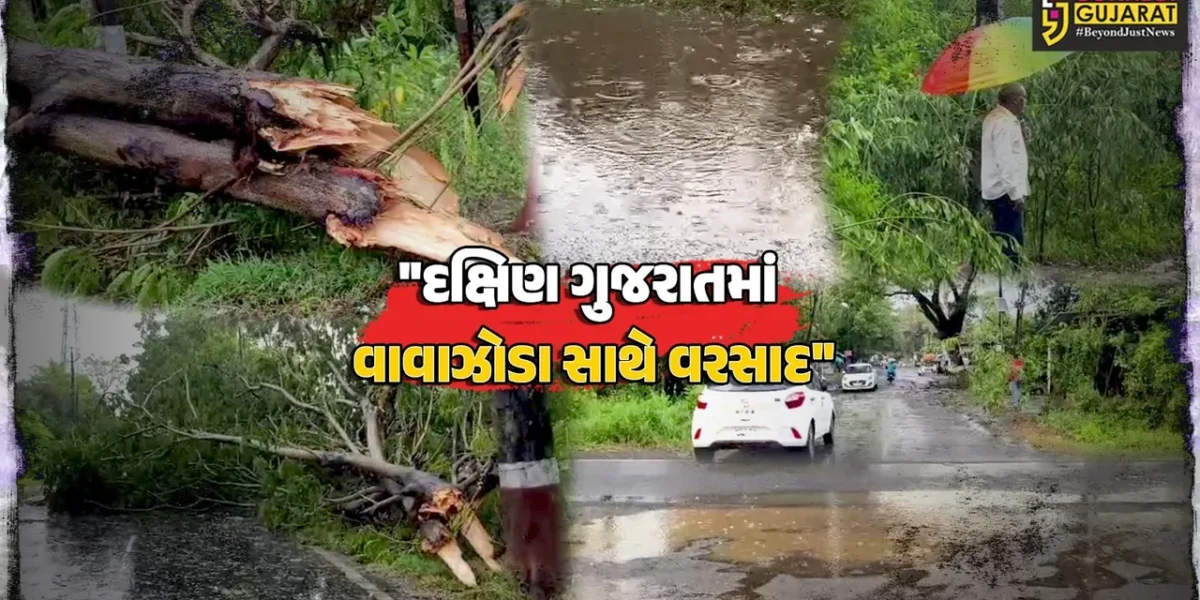 વલસાડ : દક્ષિણ ગુજરાતમાં વાવાઝોડા સાથે વરસાદ ખાબકતા વૃક્ષો થયા ધરાશાયી,વીજળી ડૂલ થવાની સાથે જનજીવન અસ્તવ્યસ્ત