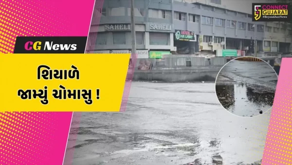ભરૂચ: શિયાળાના પ્રારંભે જાણે ચોમાસુ જામ્યું, તમામ 9 તાલુકામાં કમોસમી વરસાદ