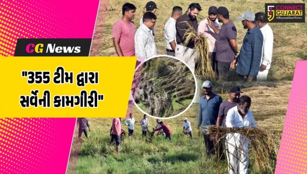 ભરૂચ : જિલ્લા વહીવટી તંત્ર દ્વારા 355 ટીમો બનાવીને 654 ગામમાં પાક નુકસાની અંગે સર્વેની કામગીરી કરાઈ પૂર્ણ