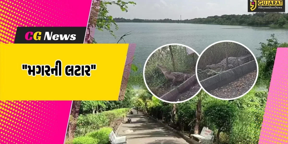 અંકલેશ્વર : જીઆઇડીસી રિઝર્વ તળાવમાં મહાકાય મગર કિનારા પર લટાર મારતો નજરે પડતા ફફડાટ