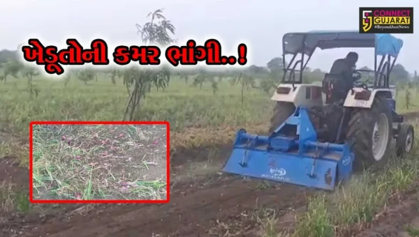 અમરેલી : પોષણક્ષમ ભાવ ન મળતા ધારી-ફતેગઢના ખેડૂતે ખેતરમાં ડુંગળી પર રોટાવેટર ફેરવી સંપૂર્ણ પાક નષ્ટ કર્યો..!