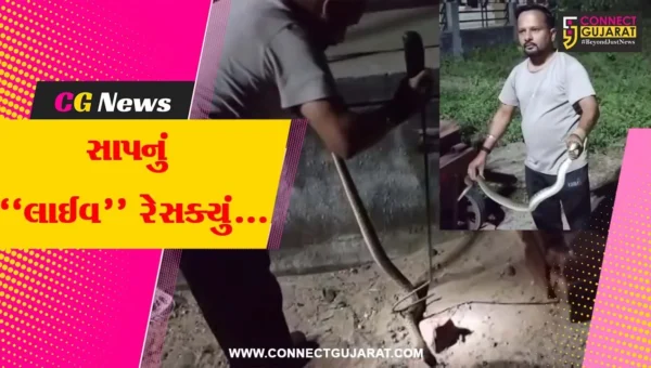 ભરૂચ : બુસા સોસાયટીના પંચવટીમાં સાપ દેખા દેતા સ્થાનિકોમાં ફફડાટ, જીવદયા પ્રેમીઓએ કર્યું રેસક્યું…