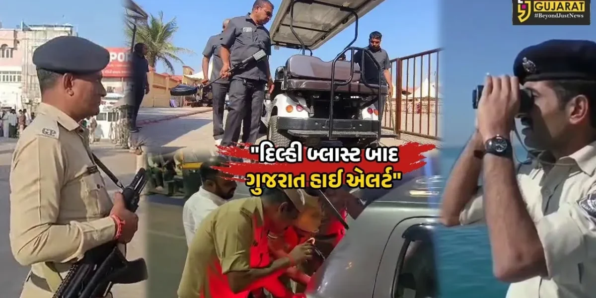 ગુજરાત : દિલ્હીમાં કારમાં બ્લાસ્ટ બાદ રાજ્યભરમાં હાઈ એલર્ટ,સુરક્ષા એજન્સીઓ દ્વારા સઘન ચેકિંગ હાથ ધરાયું