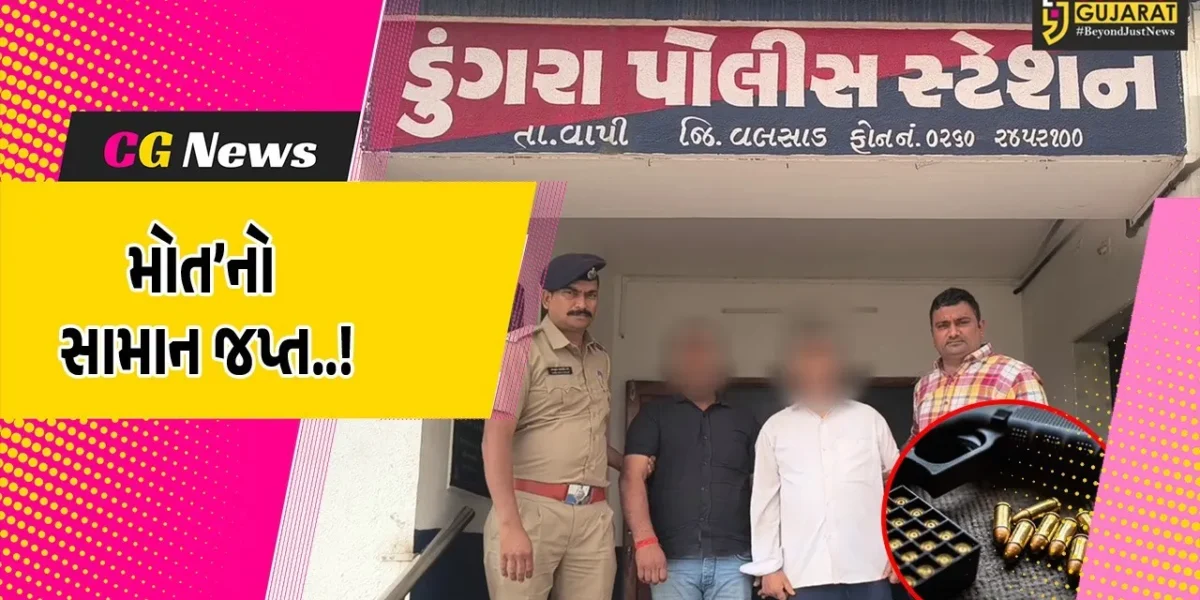 વલસાડ : વાપીના છીરી વિસ્તારમાંથી 2 પિસ્તોલ-14 જીવતા કારતૂસ સાથે 2 શખ્સોની ધરપકડ, અસામાજિક તત્વોમાં ફફડાટ