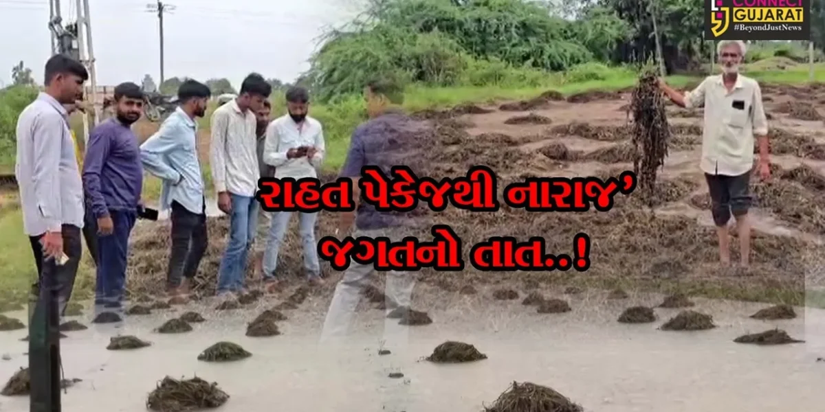 ગીર સોમનાથ : રાજ્ય સરકારના રાહત પેકેજથી નારાજ ખેડૂતોએ સંપૂર્ણ દેવા માફીની માંગ કરી.