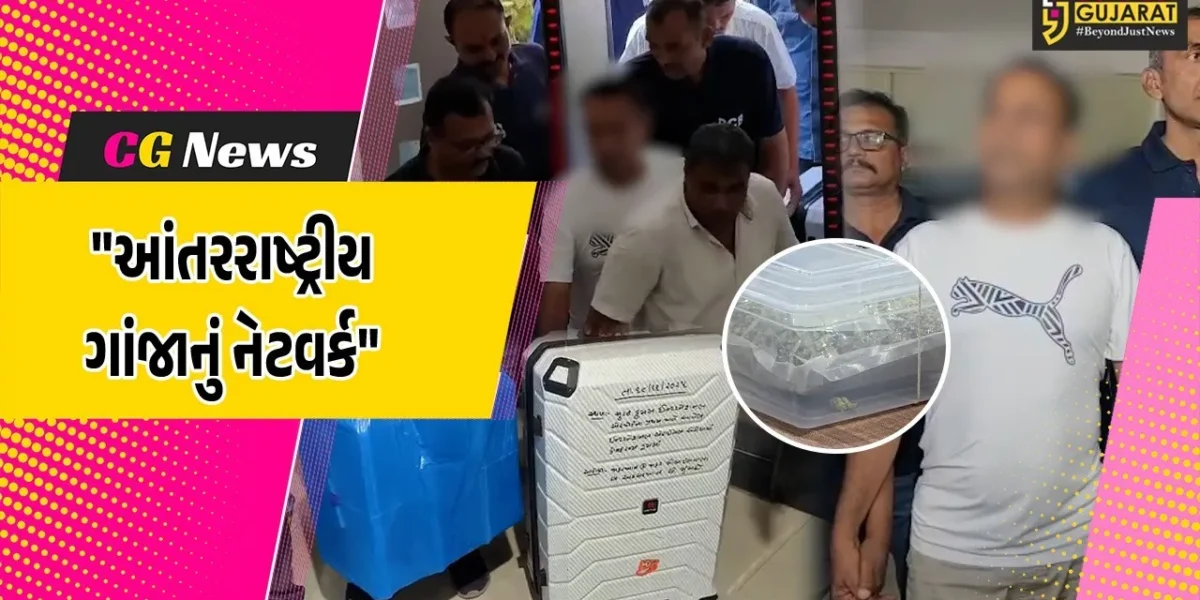 સુરત : એરપોર્ટ પર બેંગકોકથી 1.41 કરોડનો હાઇબ્રિડ ગાંજો લઈને આવેલા શખ્સની ધરપકડ